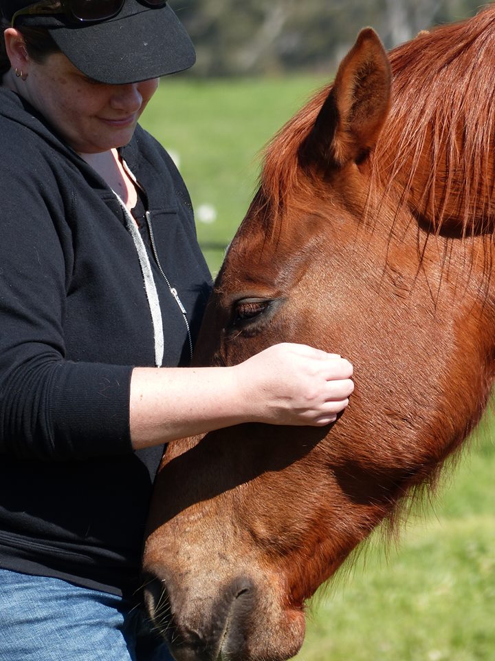 connecting with horses